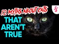 ⚠️ Top 12 Myths about Cats That Aren't True Debunked | Furry Feline Facts 🙀