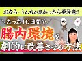 【９２.３％の便が変わった】腸活効果抜群！腸内環境が整うとニオイもなくなる。１０日で胃腸をリセットする方法【お米生活】【食べる断食®︎】【若玄米】