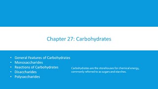2211 Presentation Lecture 11B Carbohydrates