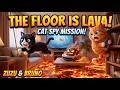 Cat vs Robot Vacuum Lava Challenge Zuzu and Bruno Funny