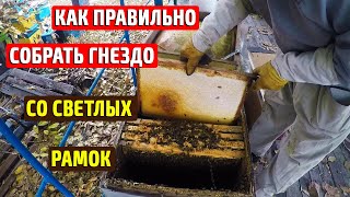 Как правильно собрать гнездо пчел со светлых рамок  Сборка гнезда пчел на зиму