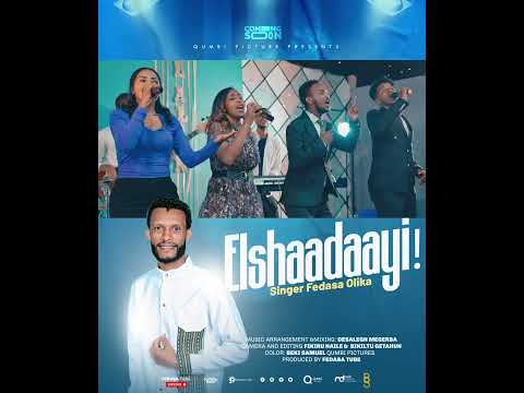 ELSHAADAAYI FEDASA 