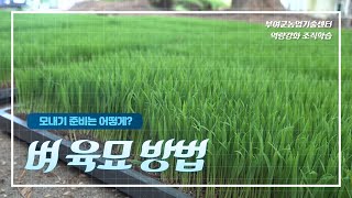 벼 육묘 방법│부여군농업기술센터 조직학습