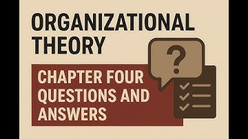 ORGANIZATIONAL THEORY CHAPTER FOUR Q& A