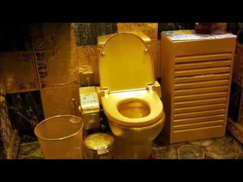 toilet in cing golden dress and toilet gifted by saudi king to his dauter toilet in cing golden dress and toilet gifted by saudi king to his dauter