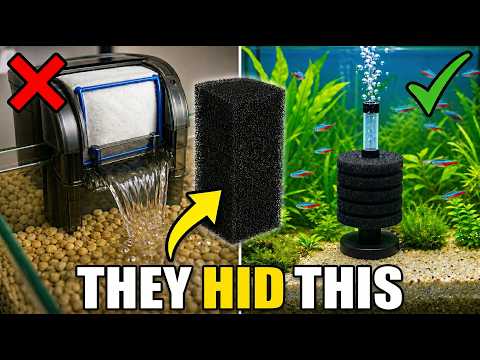 The "Forbidden" Aquarium Hack That Pet Stores Don't Want You to Know.