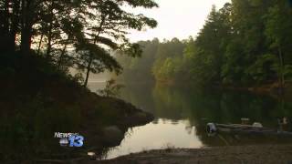 GSMNP Trails Closed After Bear Attack