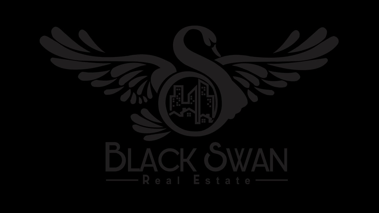 Black Swan Real Estate Fund I Launch Video! YouTube