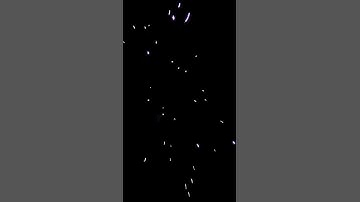 excalibur shell 2018