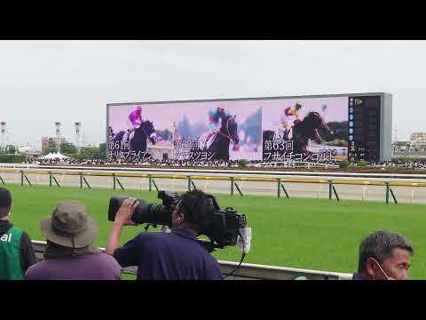 第90回日本ダービー 煽りPV