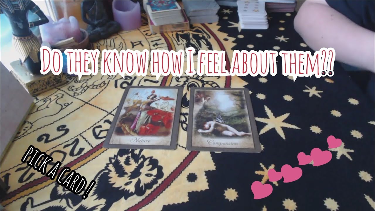 ❤️ Do They Know How I Feel?? ❤️