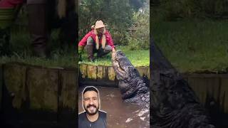 Eles SALVARAM um filhote de JACARÉ que estava FISGADO com um ANZOL e então...