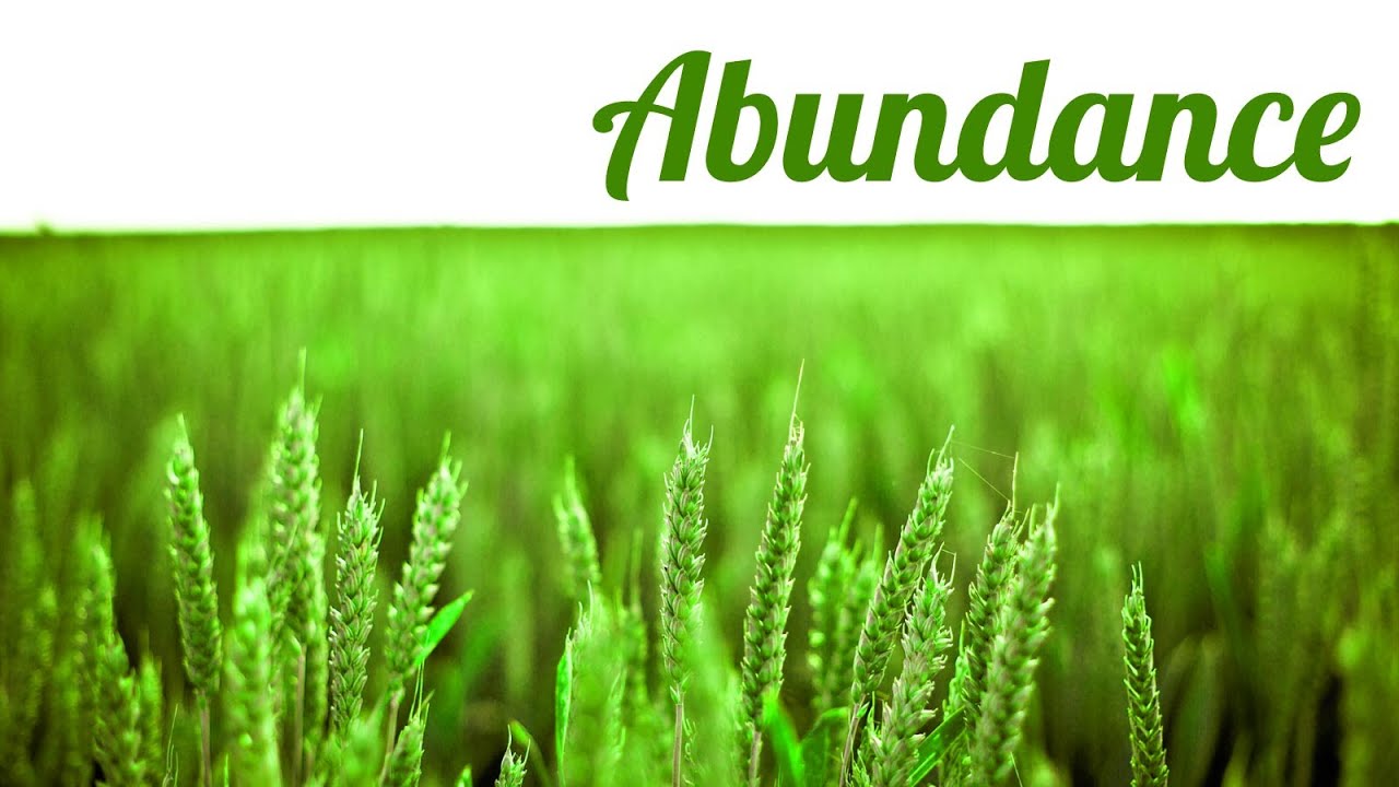 MONEY MINDSET Manifesting Abundance Guided Relaxation Meditation for