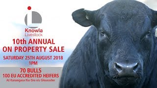 Knowla Livestock 2018 Bull Sale Preview