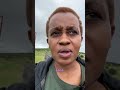 How baboons safely cross the road in Kenya