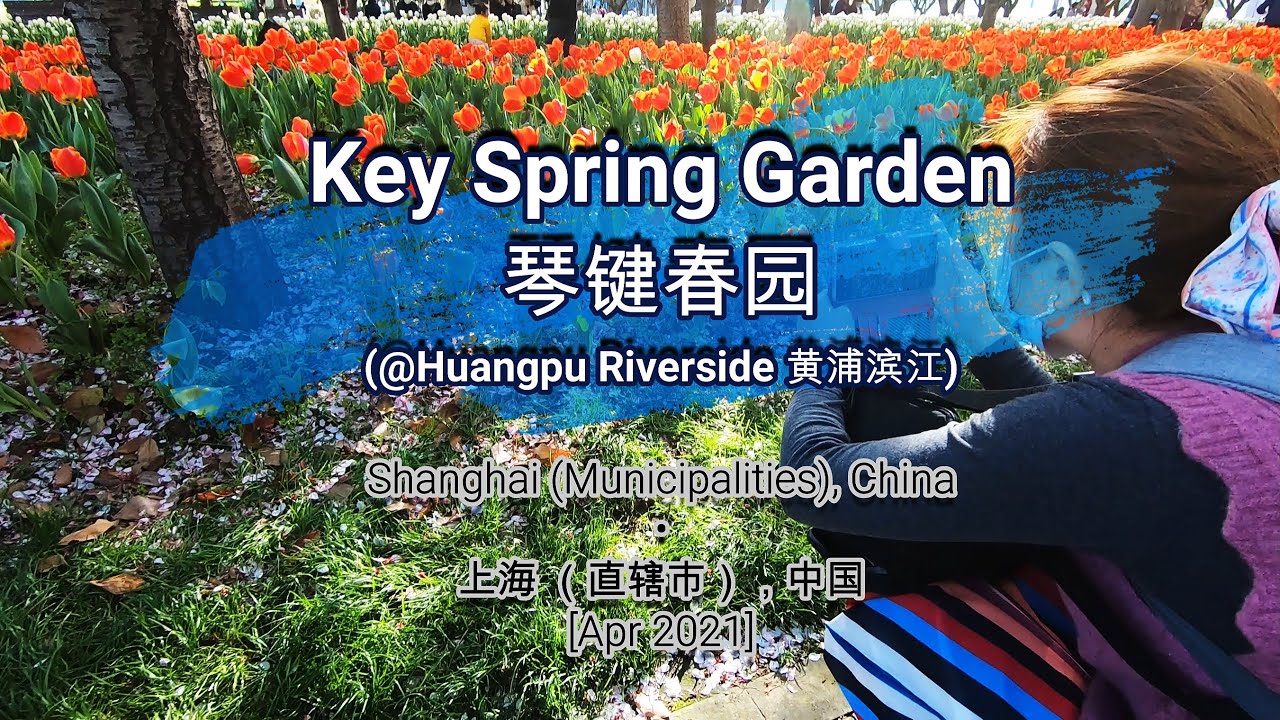 🌏327🌏 [Key Spring Garden @Huangpu Riverside] [琴键春园 @黄浦滨江] - YouTube