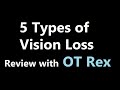 Ot rex  5 types of vision loss