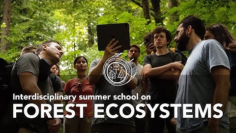 Interdisciplinary Summer School on forest ecosystems 2023 - Supported by COST