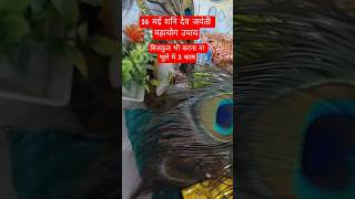 16 मई शनिदेव जयंती ka chamatkari upay🌺 | shanidev jayanti | #shanidev #trending #shortsfeed #shorts