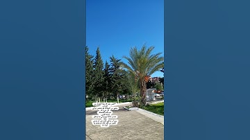 آيات من الذكر الحكيم 🥀🫀🤲#quran #explore #قرآن