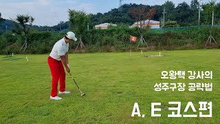 피닉스 고객사은대잔치 왕중왕전 예선전 B, E 코스 공략법 -한국파크골프 성주구장-