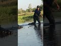 Wrangler Befriends Wild Crocodile Dubbed ‘Bone Cruncher’ in Northern Territory