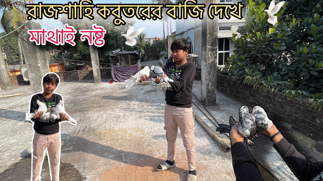 কবুতরের বাজি দেখে মাথাই নষ্ট 😳 ॥ বাড়িতে এলো নতুন অতিথি 😍॥ গোপাল ভাইয়ের পছন্দের কবুতরের বাজি হবে আজ