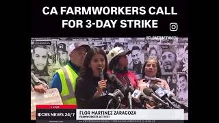 California Farm Workers Announce 3 Day Strike