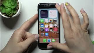 How to Mute Ringtone on iPhone SE 2022 - Deactivate Ringtone on iOS