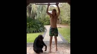 Calisthenics with a Monkey 😍🐒 #shorts