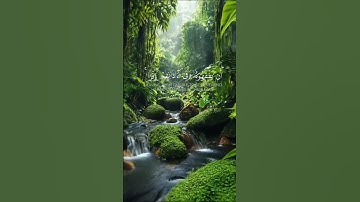 أحمد العجمي | تلاوة خاشعة تهز القلوب#أحمد_العجمي #تلاوة_خاشعة  #سورة_الإسراء #قرآن #Quran #Islam