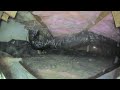 Crawlspace SW Barnum Dr