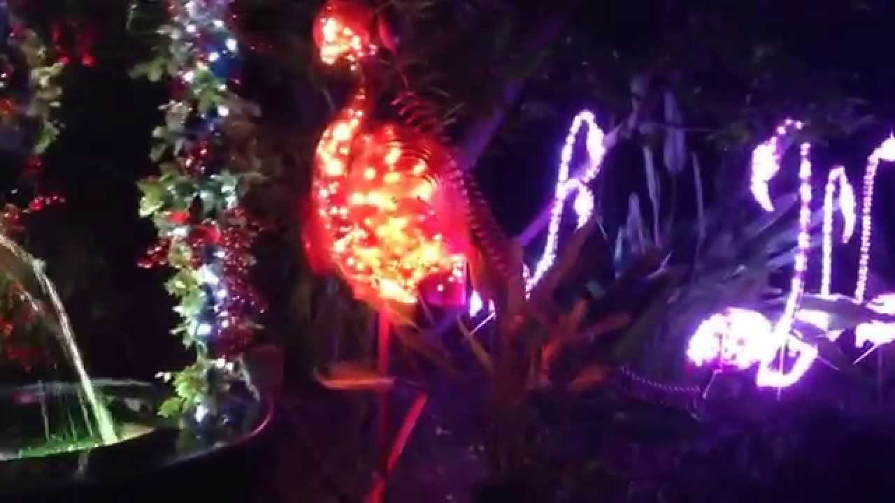 Rhino Water Scene LA Zoo Lights 2014 Holiday Christmas Light Show YouTube