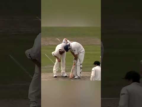 Brett Lee Brutal