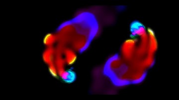 Multiple Neighborhood Cellular Automata - Slackermanz