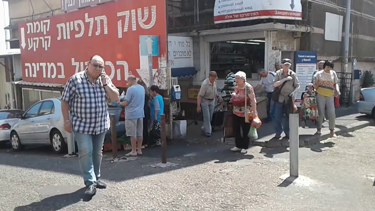 ШУК ТАЛЬПИЁТ В ХАЙФЕ!