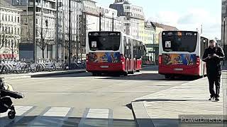 Cool Kids - Echosmith (High Tone)