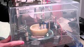 ECE 4760 - Automated Grapefruit Cutter