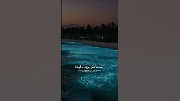سورة النمل #annaml #quran #tilawat
