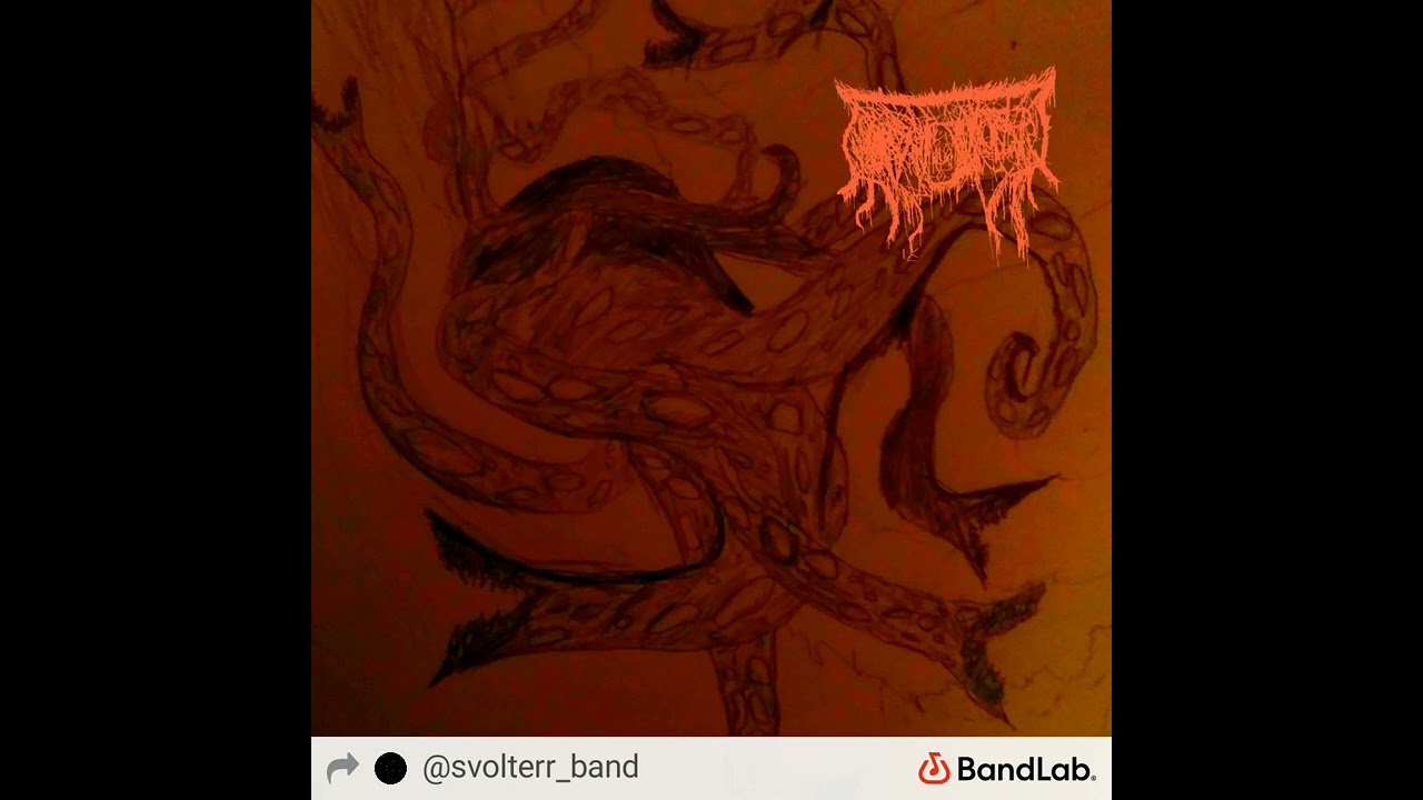 svolterr - Chiroteuthis veranyi