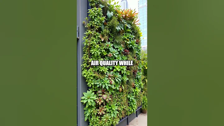 Sustainable Living Innovations