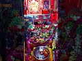 krishna #status #video#Dev Pratap#K8K#