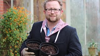 Get Gardening: The Magic of Mulch