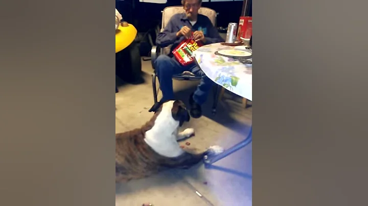 BoBo giving my dog his treats.