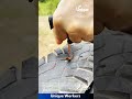 Quick Tire Repair: How to Fix a Flat Tire with a Plug Kit