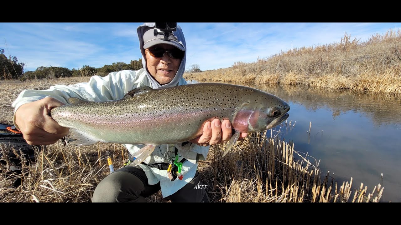 Silver Creek Epic Fly Fishing for Big Trout Again using AK Fishing System Jan 2026 part one