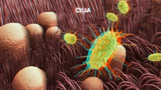 Sanofi : Anaglyph 3D Stereoscopic Teaser