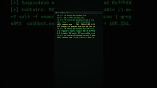 I Found Hidden Malware in RAM (Volatility Forensics)