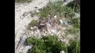 Acque E Inquinamento Da Discariche Dismesse