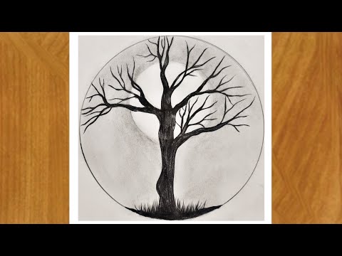 رسم سهل رسم شجرة داخل دائرة بقلم الرصاص رسم منظر طبيعي  رسم سهل رسم شجرة داخل دائرة بقلم الرصاص رسم منظر طبيعي